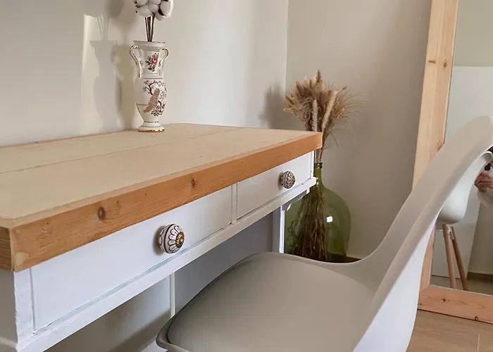 Bohemian Paradise 페러데이션